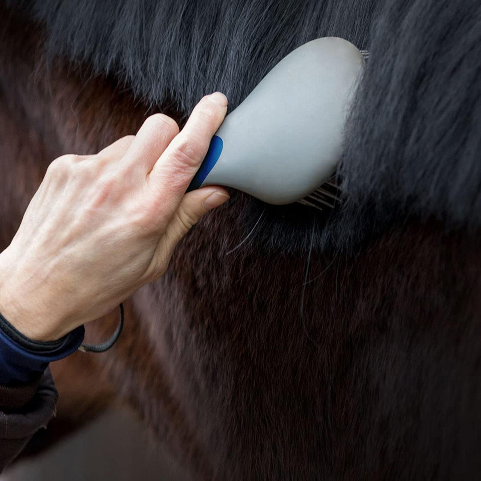 Horse Brushes for Grooming Pro - Grooming Kit Horse recension och pris